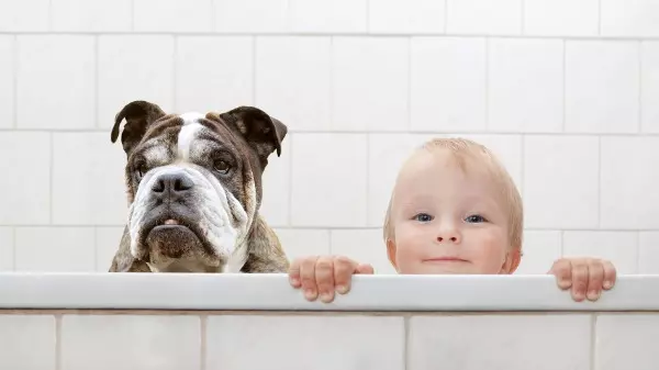 O lado bom de ter animal de estimação