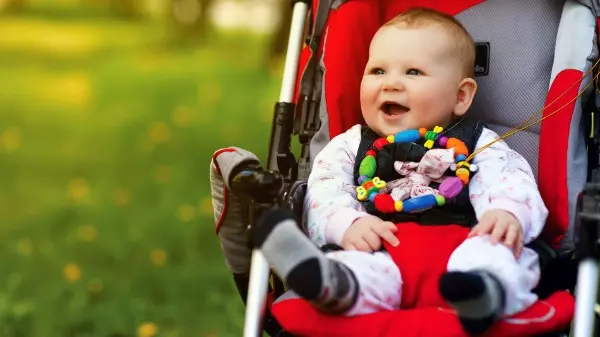 Qual carrinho de bebê comprar?