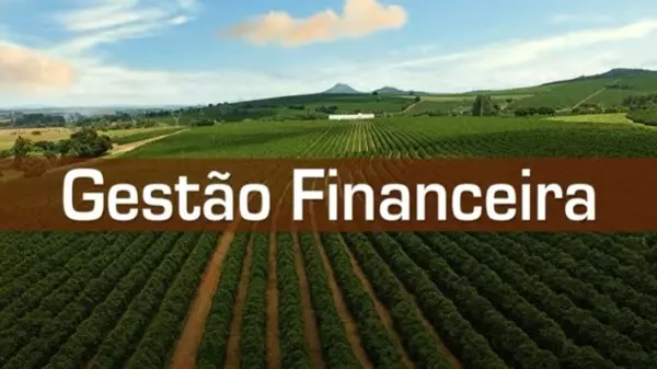 Cafeicultor, como é seu fluxo de caixa?