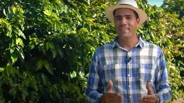 Dicas de como cortar custos para sua produção de café