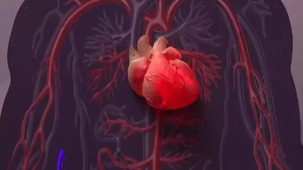 Dia Mundial do Coração busca alertar as pessoas para doenças cardiovasculares