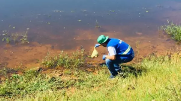 Extrema (MG): voluntários fazem ação no Dia Mundial da Limpeza