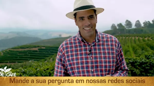 Saiba quais manejos interferem no teor de nitrogênio da planta