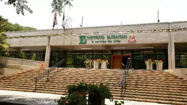 Vacina contra a dengue do Butantan atinge eficácia de 79,6%