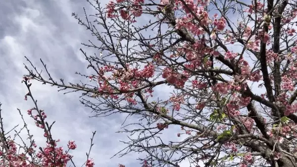 Confira como fica o tempo no primeiro fim de semana da Primavera