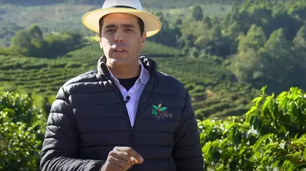 O frio chegou mais cedo; saiba se o seu cafezal pode ser comprometido