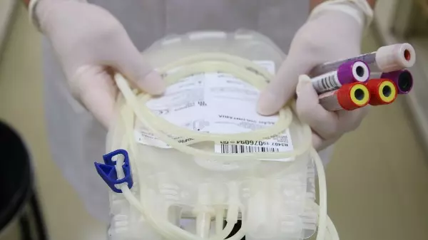 Lei que facilita localização de doadores de medula óssea é sancionada