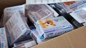 Polícia Civil descobre fábrica clandestina de remédios pet