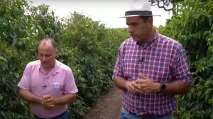 No pé do café: Gustavo Rennó conversa com agricultor que utiliza organominerais há 8 anos