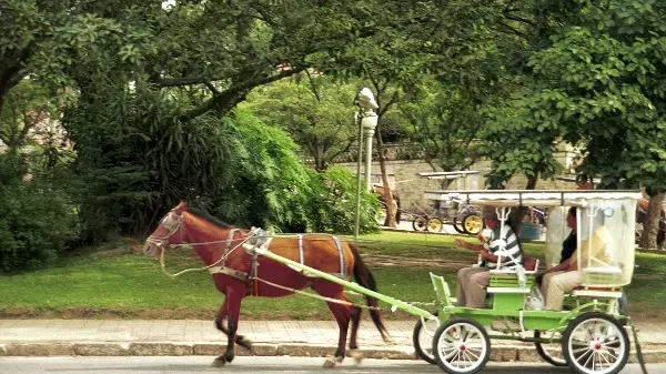 Poços de caldas lança protótipo de carruagem elétrica nesta quarta-feira (5)