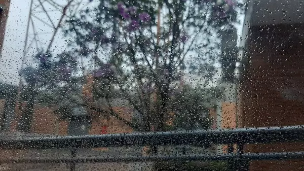 Após dois meses de tempo seco, São Carlos amanhece com chuva
