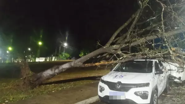 Chuva e ventos deixam destruição em S. José da Barra (MG)