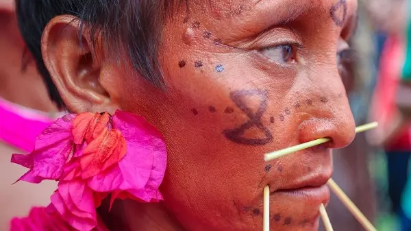 Ministra afirma que havia indícios da gravidade da situação dos yanomami